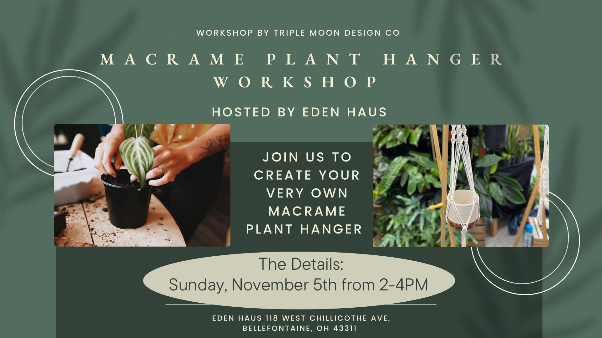 November's Macramé Magic: Join the Plant Hanger Workshop