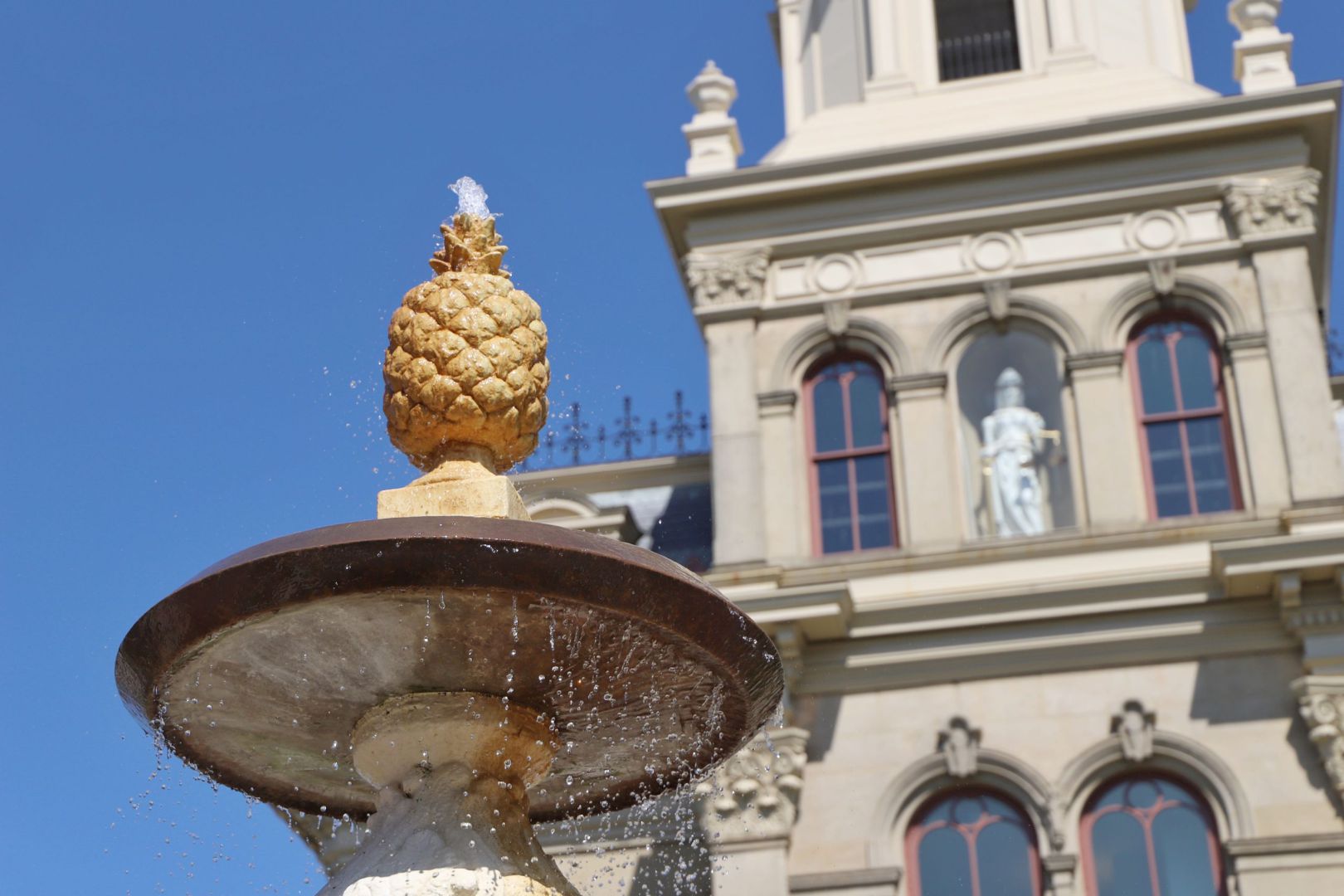 What's the Deal With the Pineapple?