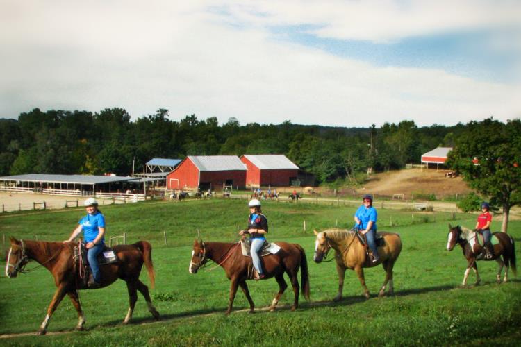 Fun and Adventure Down on the Farm